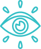 Vision